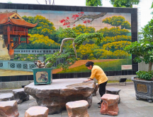 DỊCH VỤ VỆ SINH NHÀ Ở DỊCH VỤ VỆ SINH NHÀ Ở